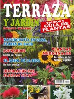 Terraza y Jardín